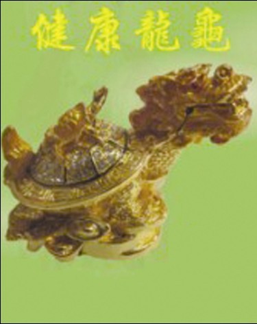 健康龍龜